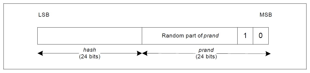 ../../../../_images/resolvable_private_address_format.png