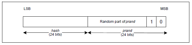../../../../_images/resolvable_private_address_format.png
