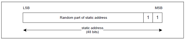 ../../../../_images/static_address_format.png
